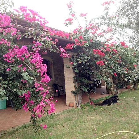 Villa Casa Santina Girasole Habitación foto